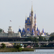 Image for article titled Pandemic Disney World Guests Even More Rabid Than Normal Disney World Guests